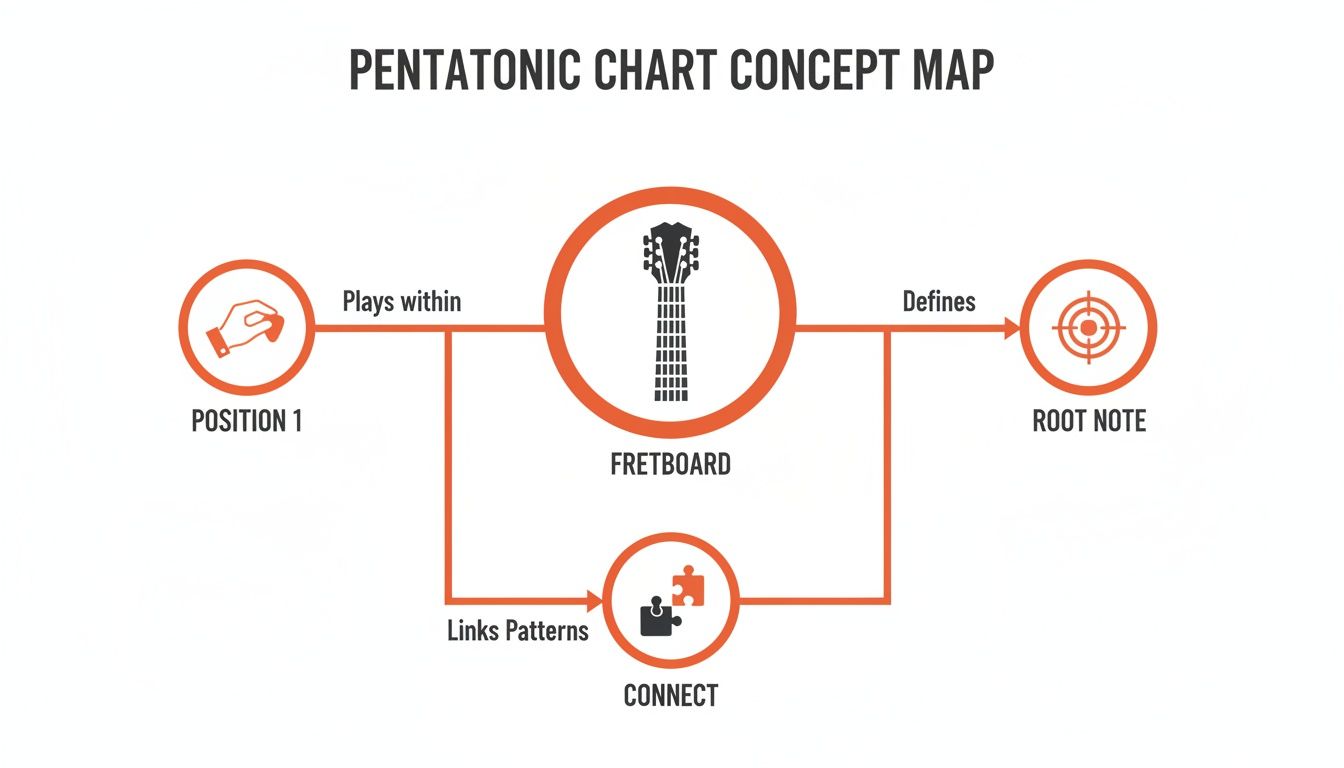 A concept map illustrating the pentatonic scale on a guitar fretboard, connecting positions, root notes, and patterns.