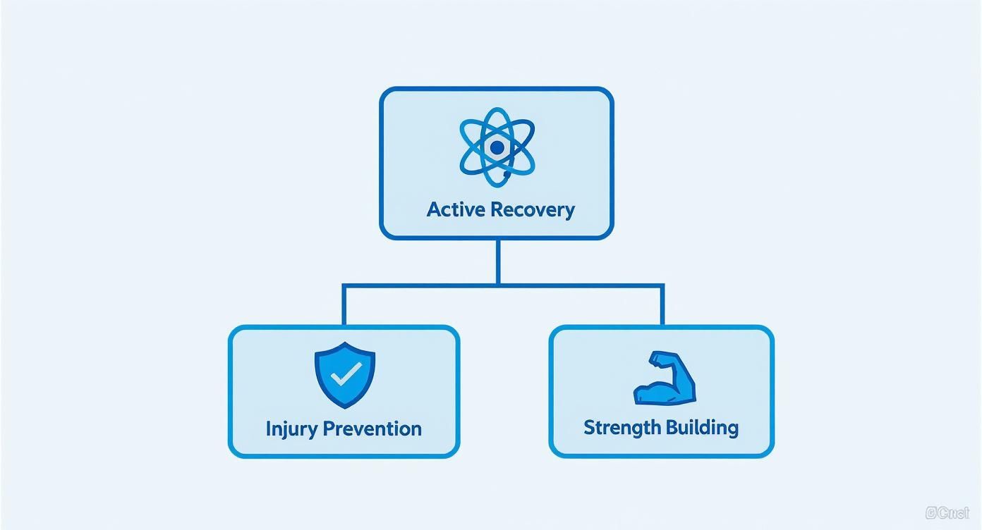 Hierarchical diagram showing active recovery, injury prevention, and strength building components with blue icons