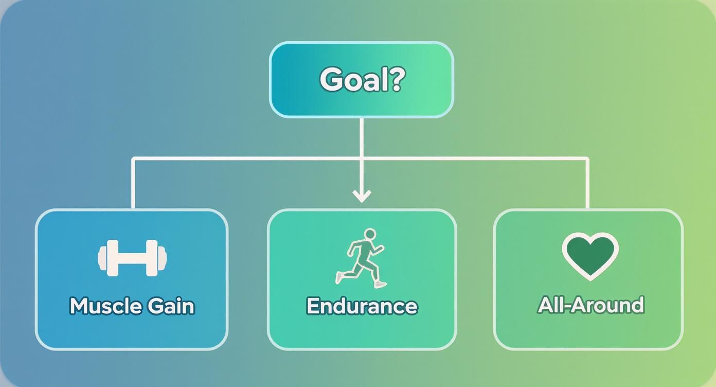 Fitness goal selection flowchart showing muscle gain, endurance, and all-around workout options
