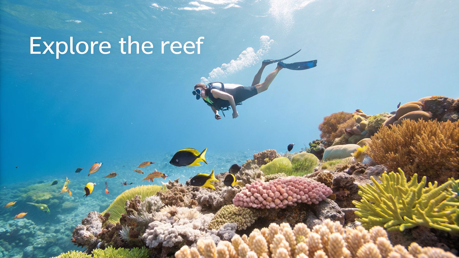 A person snorkels above a vibrant coral reef teeming with colorful fish and diverse corals.