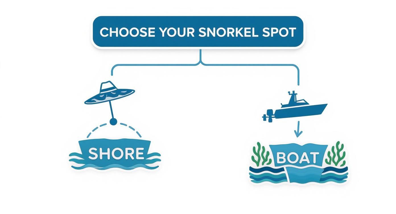 An infographic decision tree helping users decide between shore snorkeling at Sombrero Beach or taking a boat tour to Sombrero Reef.