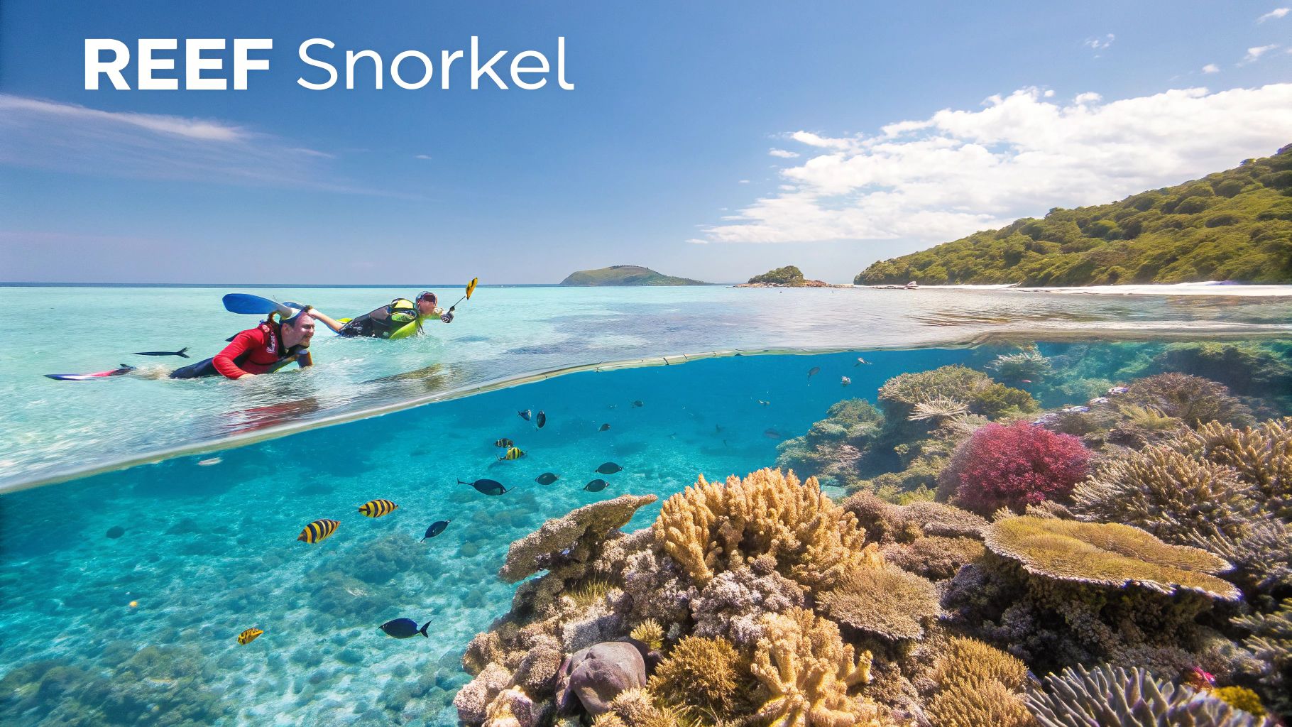 Two snorkelers exploring vibrant coral reef with tropical fish in crystal clear turquoise water