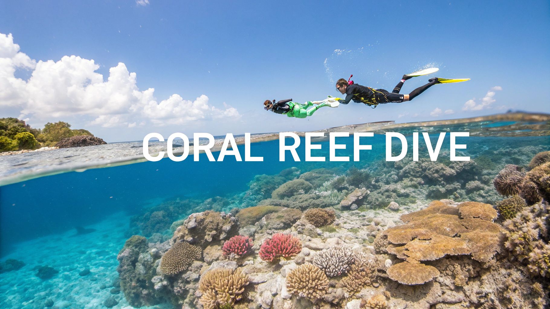 Two people snorkeling above a vibrant coral reef, with a sunny sky and distant island above the water.