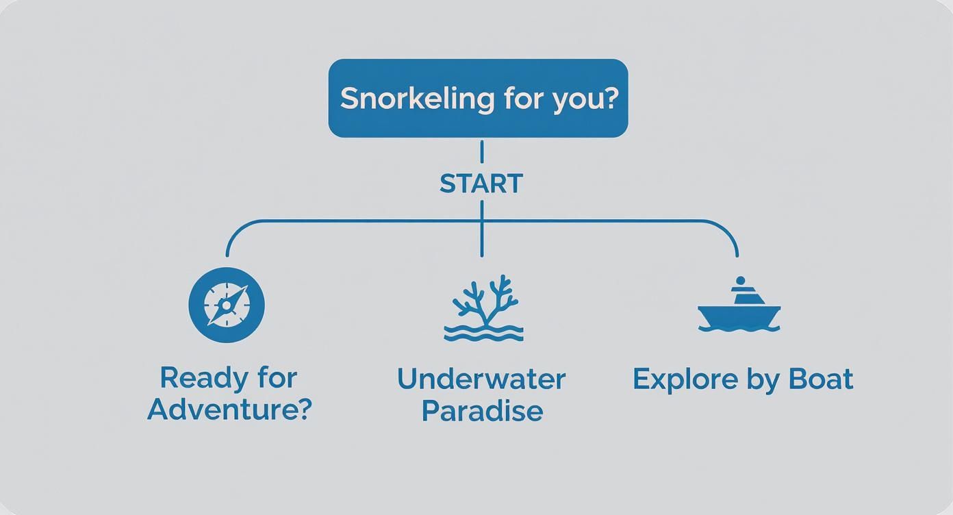 Infographic about snorkeling marathon fl