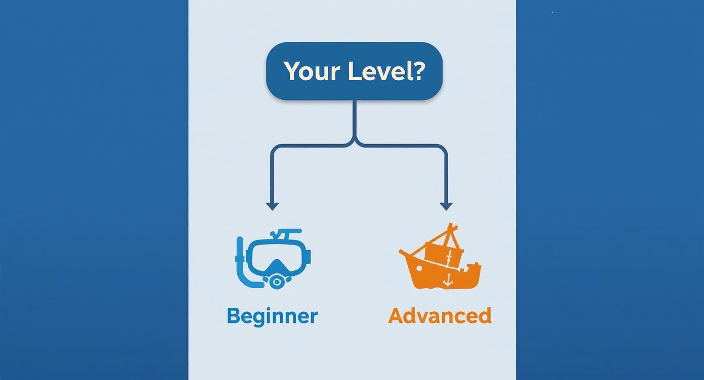 Flowchart asking 'Your Level?', showing a scuba mask for Beginner and a sunken ship for Advanced.