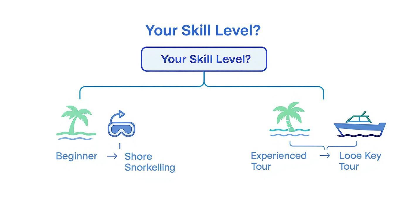 Flowchart showing snorkeling options: beginner for shore snorkeling, experienced for Looe Key tour.