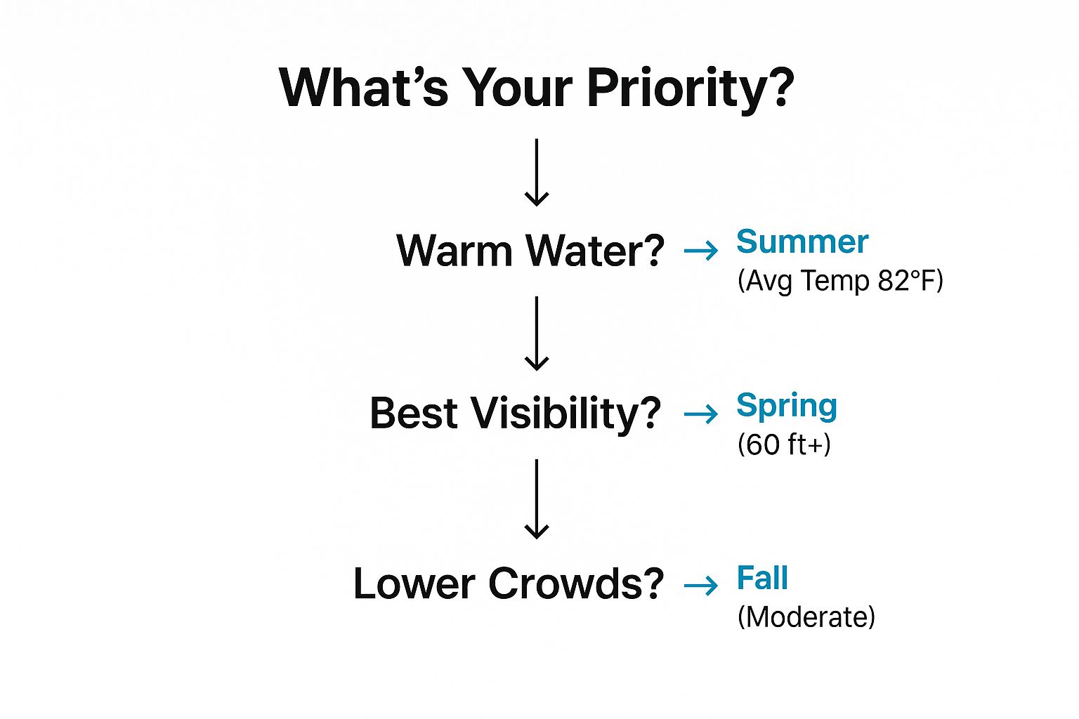 Infographic decision tree for snorkeling in Florida based on water temperature, visibility, and crowds.