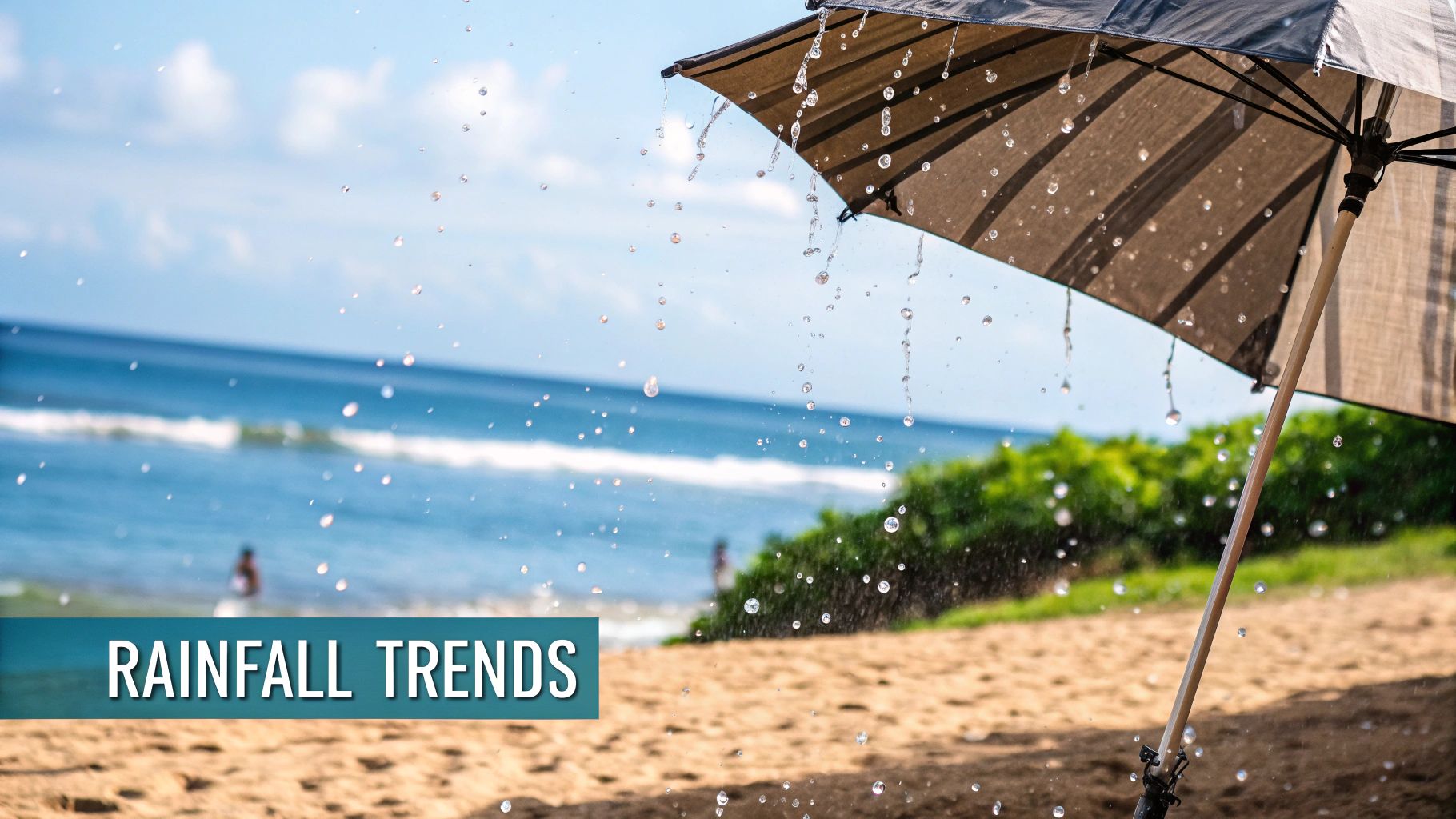 Florida Weather in March: What to Expect on Your Vacation - The Family ...