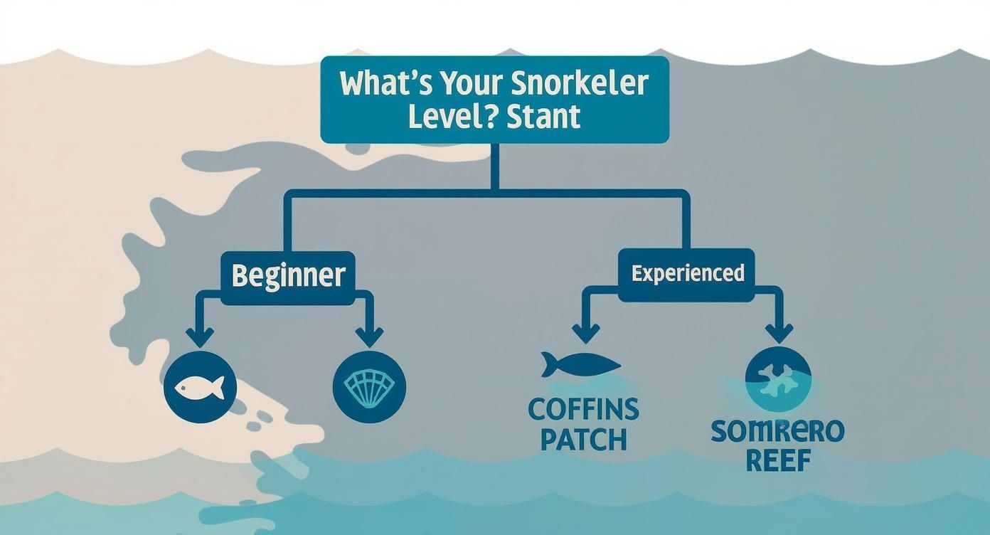 Infographic decision tree for Marathon snorkeling spots based on skill level.