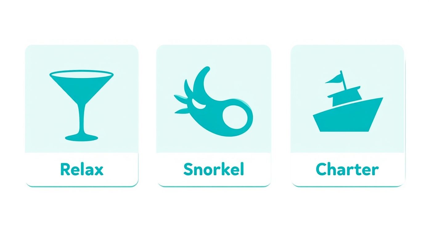 Infographic about sandbar tours key west