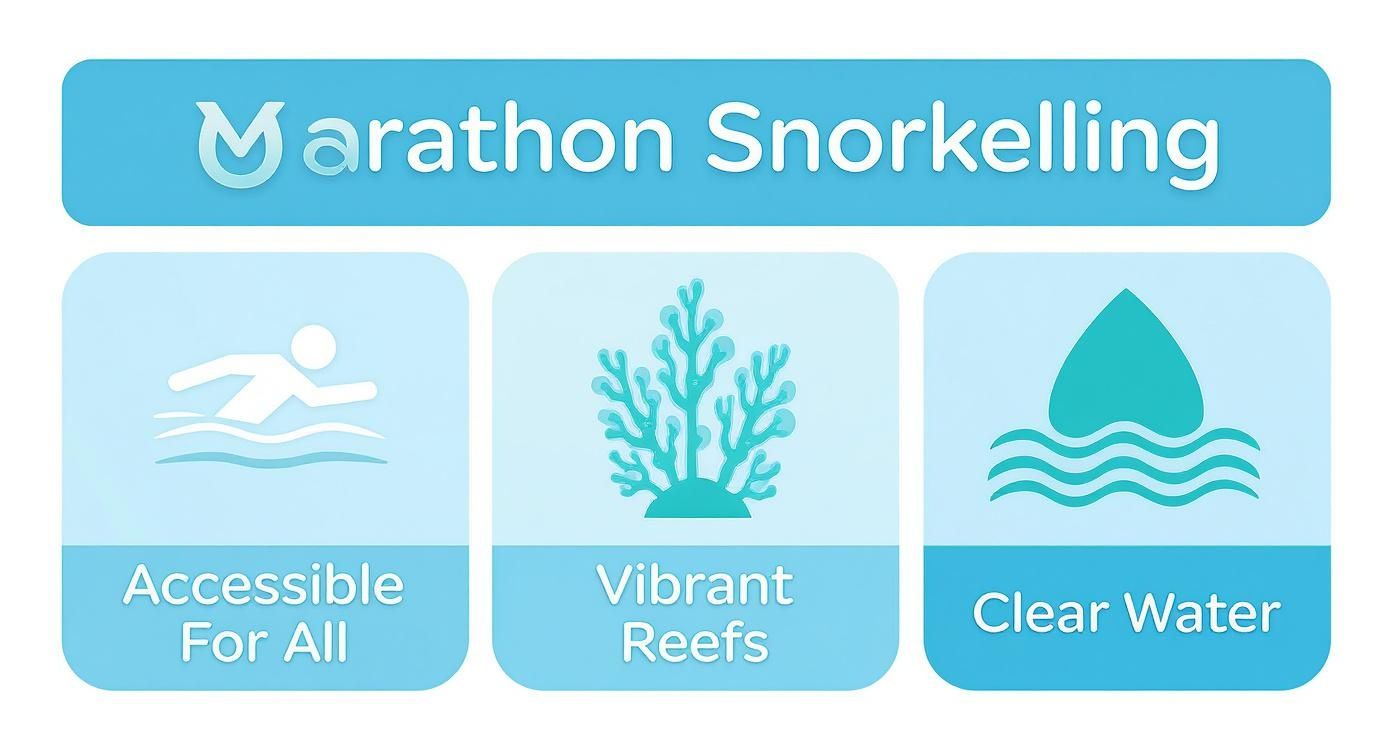 Infographic about snorkeling marathon fl