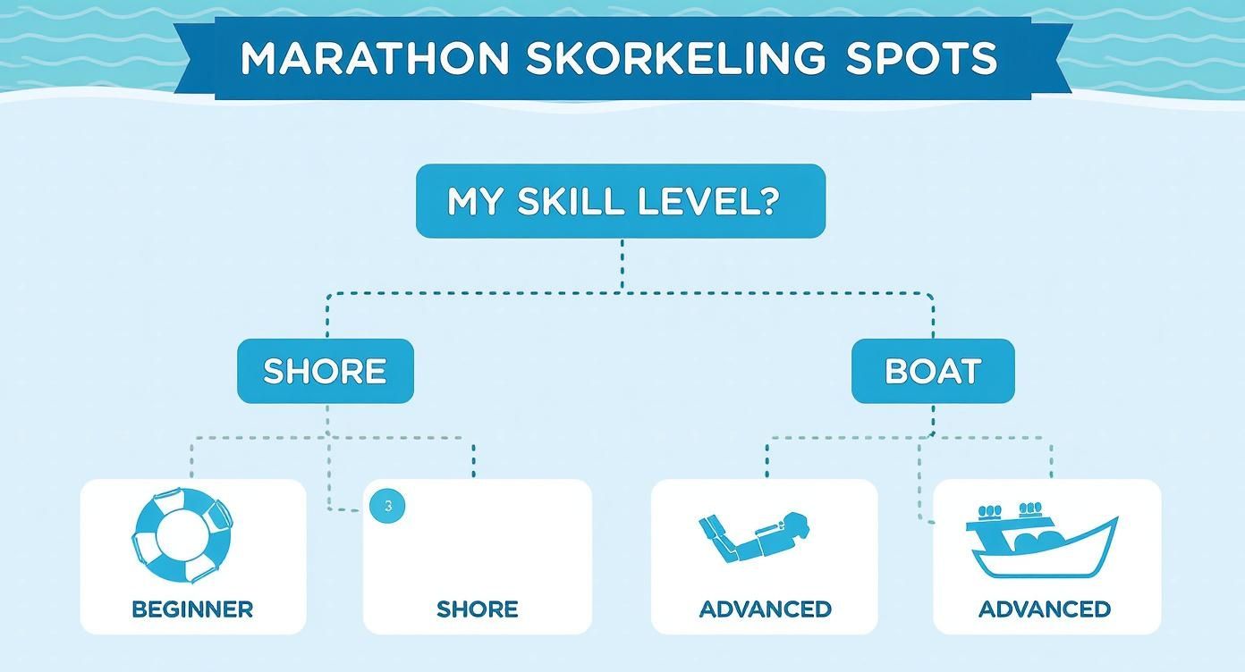 Infographic decision tree for choosing a snorkel spot in Marathon based on skill level.