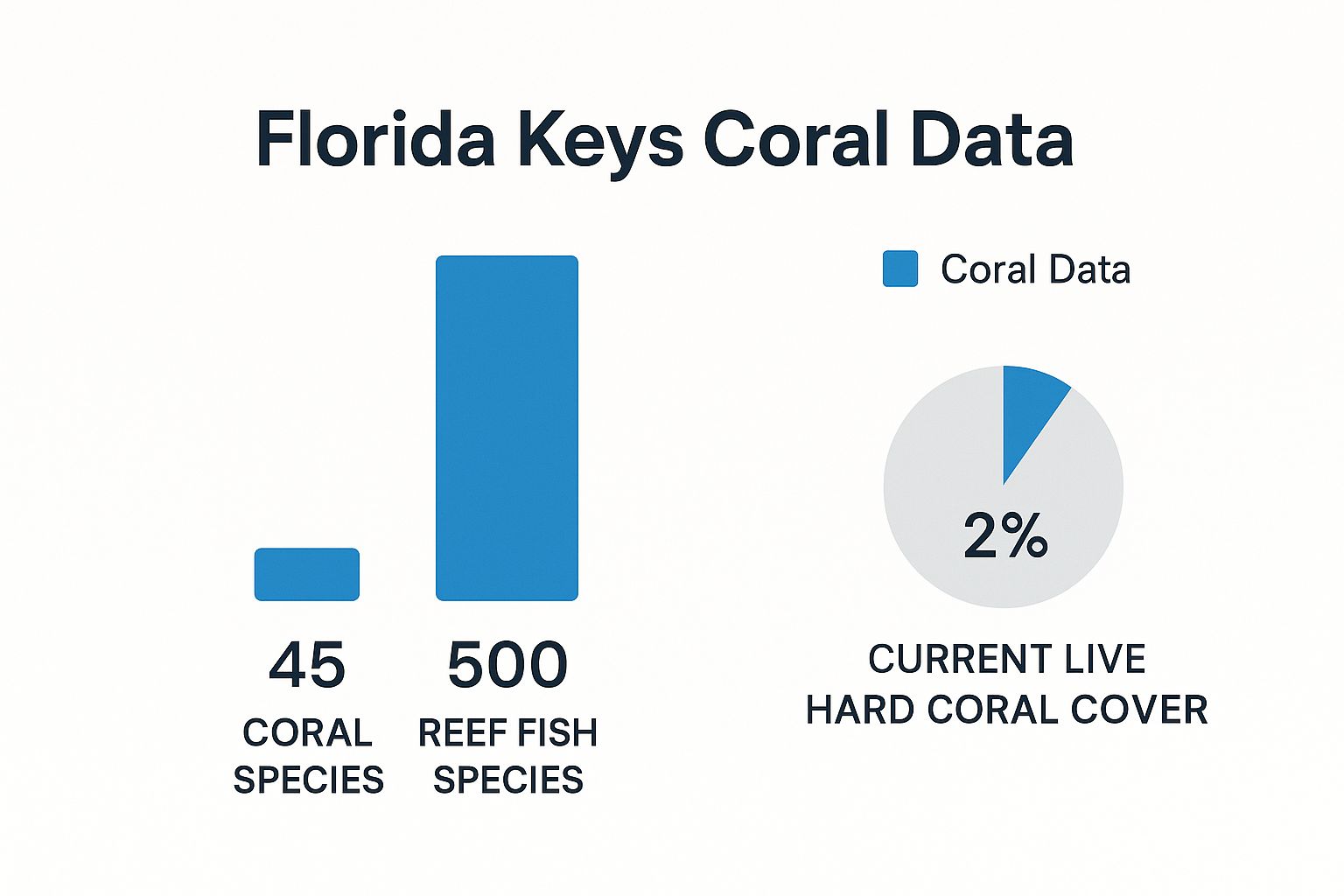 Infographic about coral reefs in the florida keys