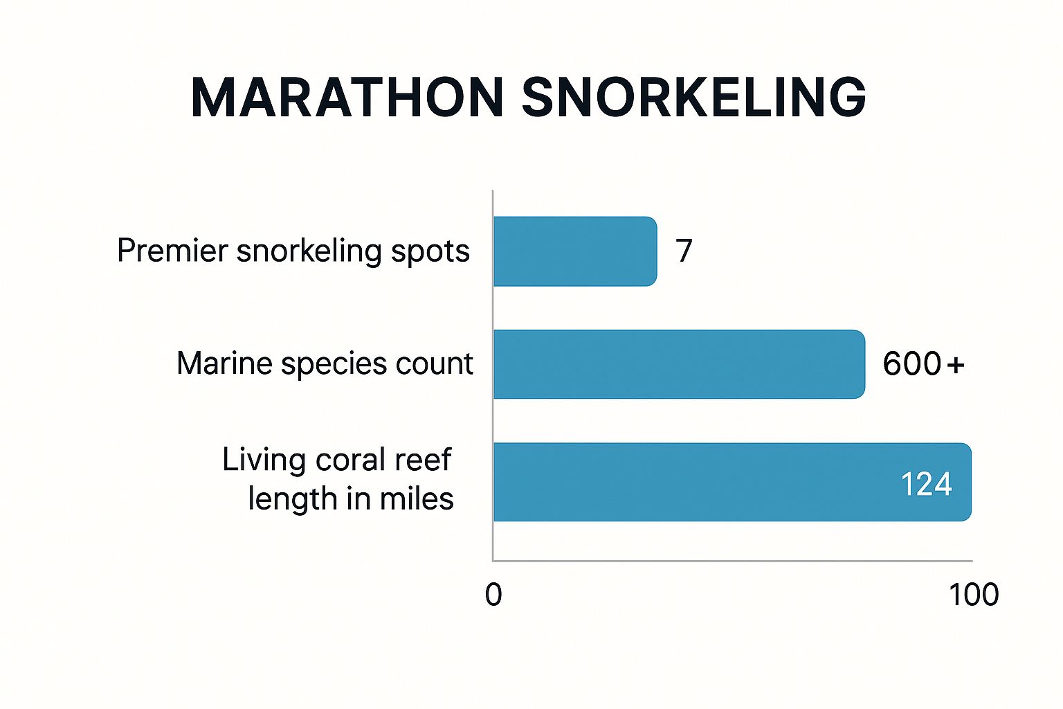 Infographic about snorkeling marathon fl