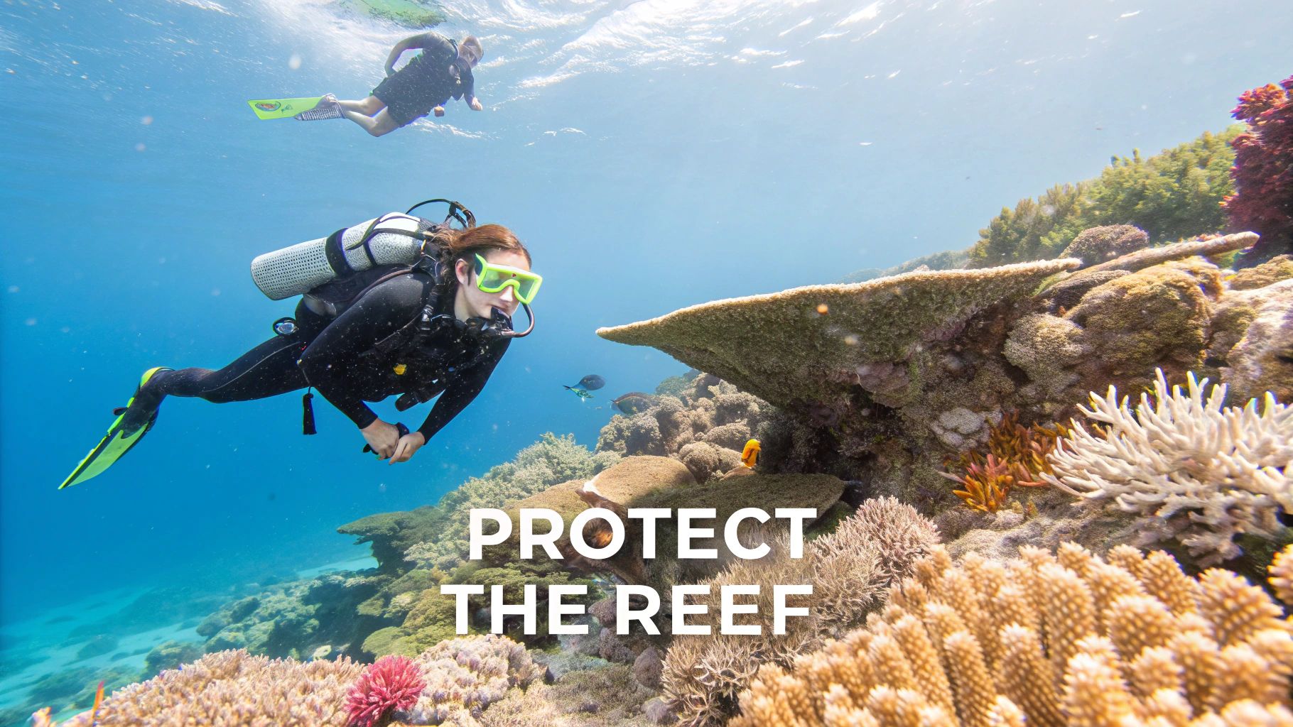 A healthy coral reef with colorful fish swimming around it