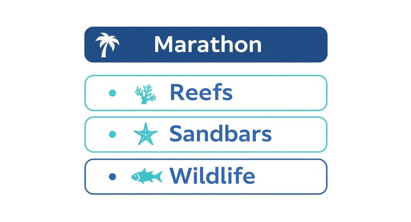 Infographic about snorkeling marathon fl