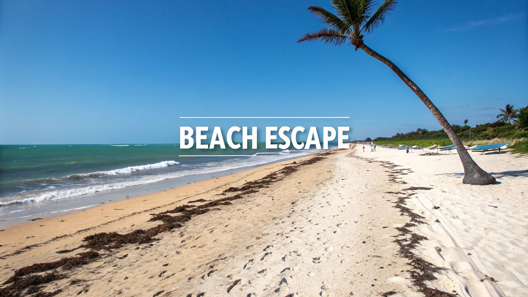 Tropical beach with palm tree, white sand, and turquoise ocean in Marathon Florida Keys