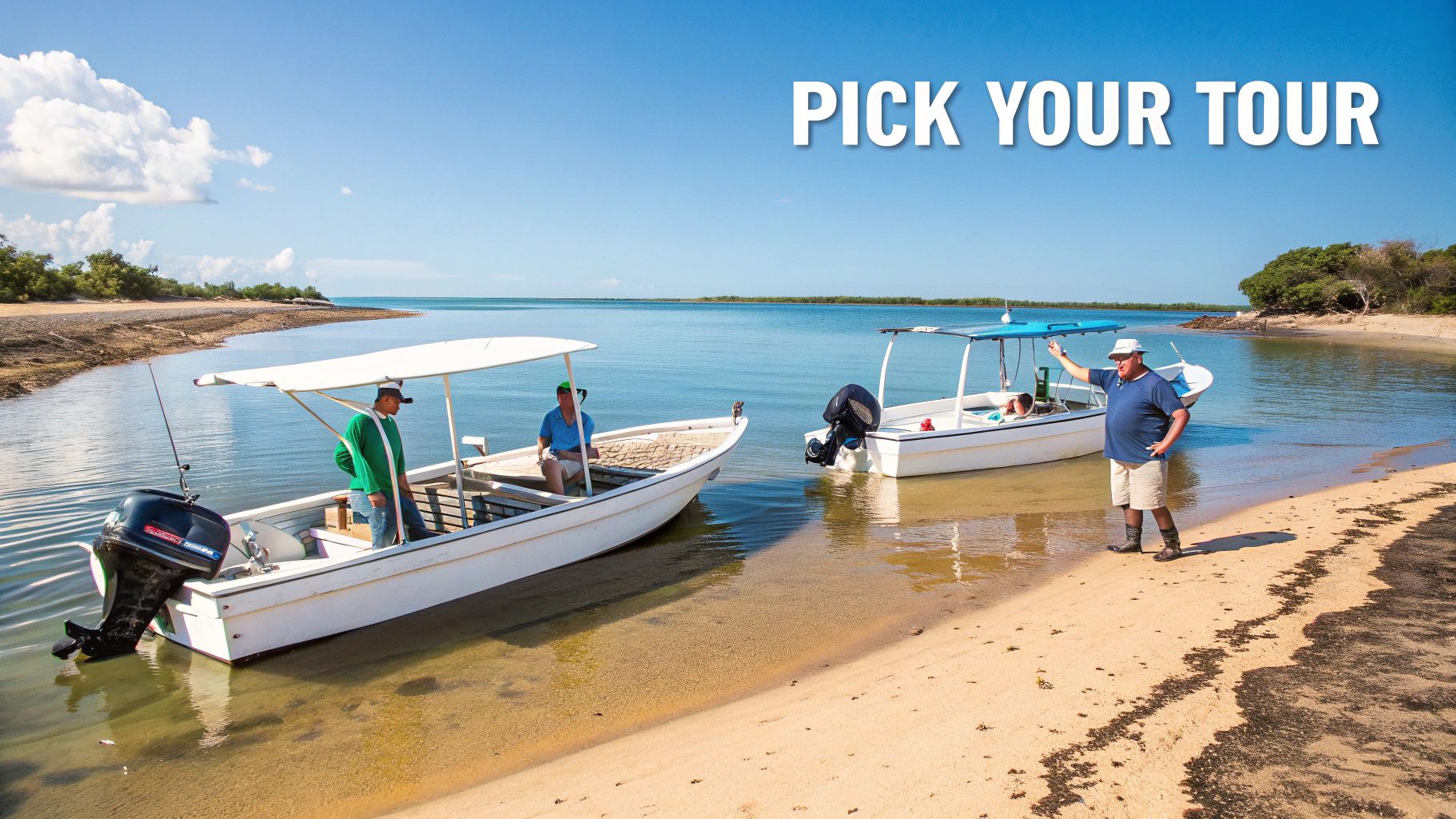 Choosing the Right Sandbar Tour