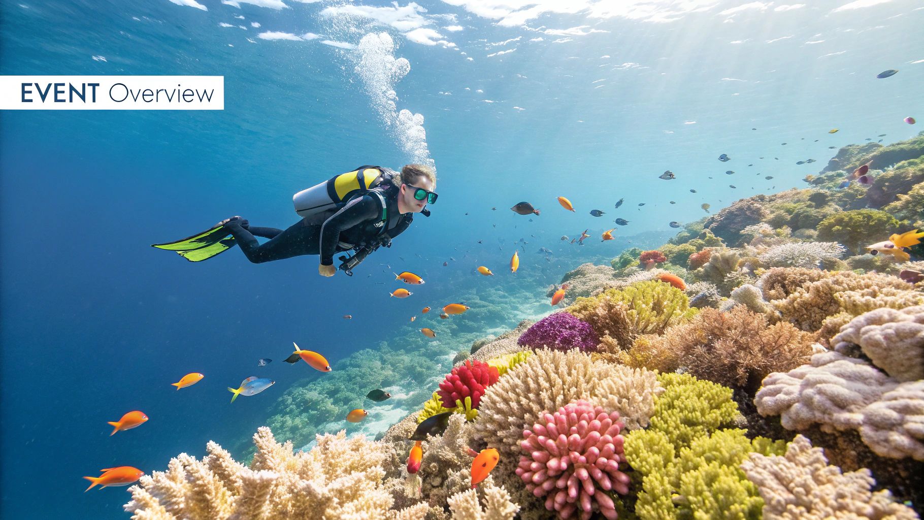 Snorkeling Marathon FL: Your Complete Adventure Guide - Marathon ...