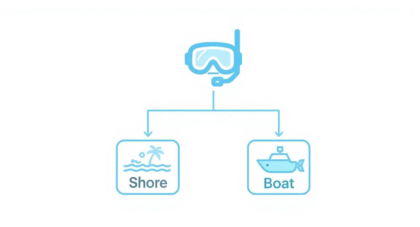 Infographic decision tree for choosing between shore and boat snorkeling in Marathon, FL.