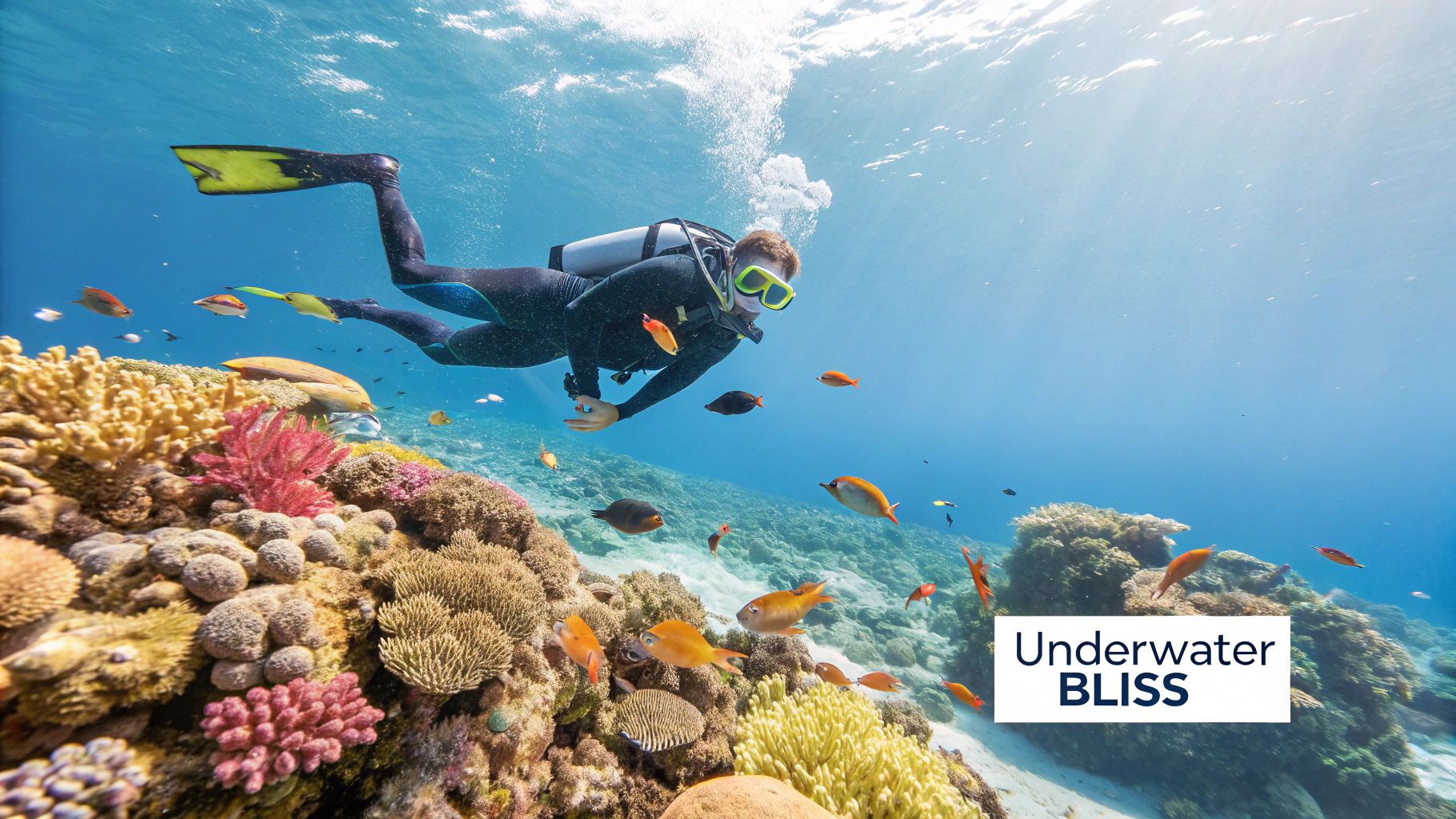 Snorkeling Marathon FL: Top Spots & Tips for Underwater Adventures ...