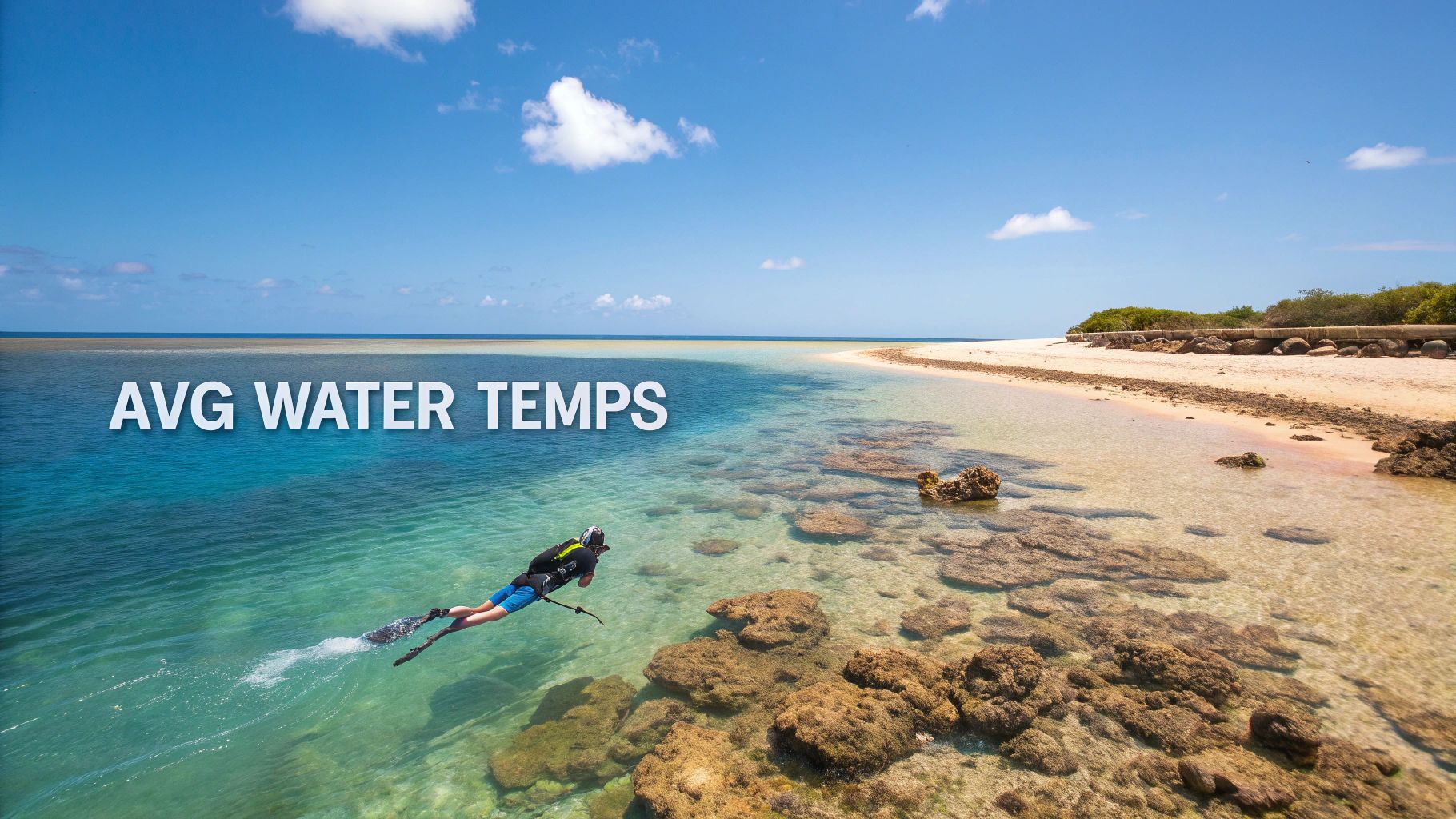 A vibrant coral reef with clear blue water and tropical fish.