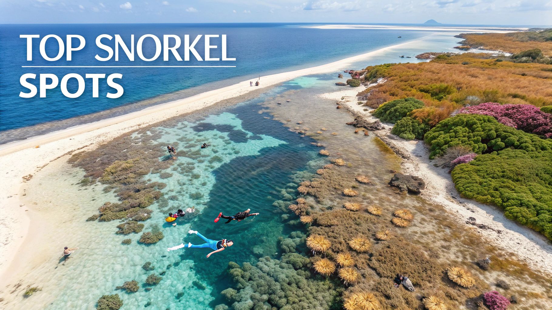 Snorkeler observing a sea turtle near a vibrant coral reef in Marathon FL.