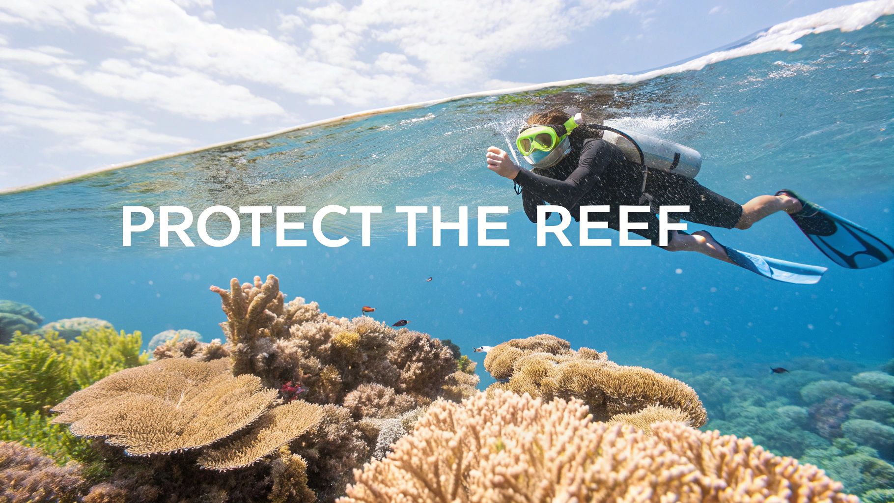 A sea turtle swimming gracefully over a coral reef in Marathon, FL.