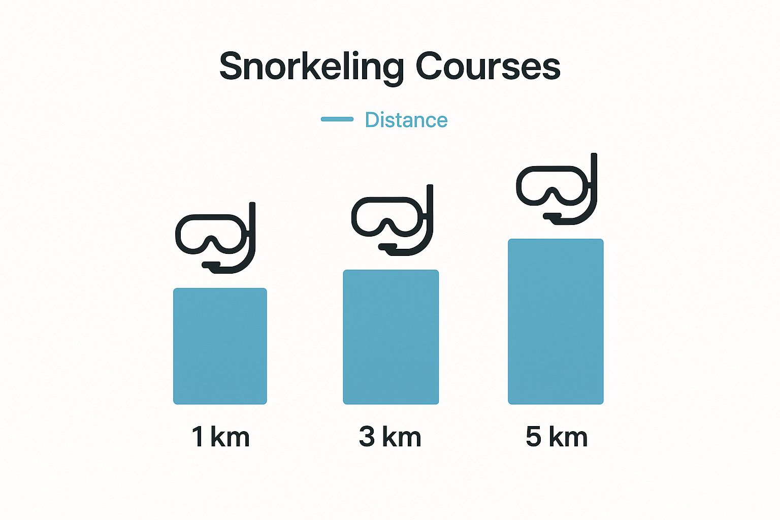 Infographic about snorkeling marathon fl