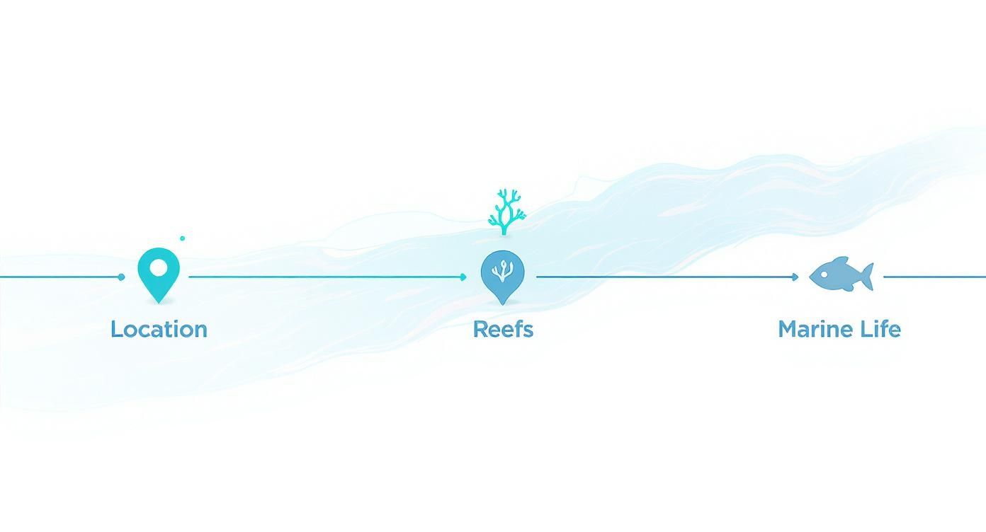 Infographic about snorkeling marathon fl
