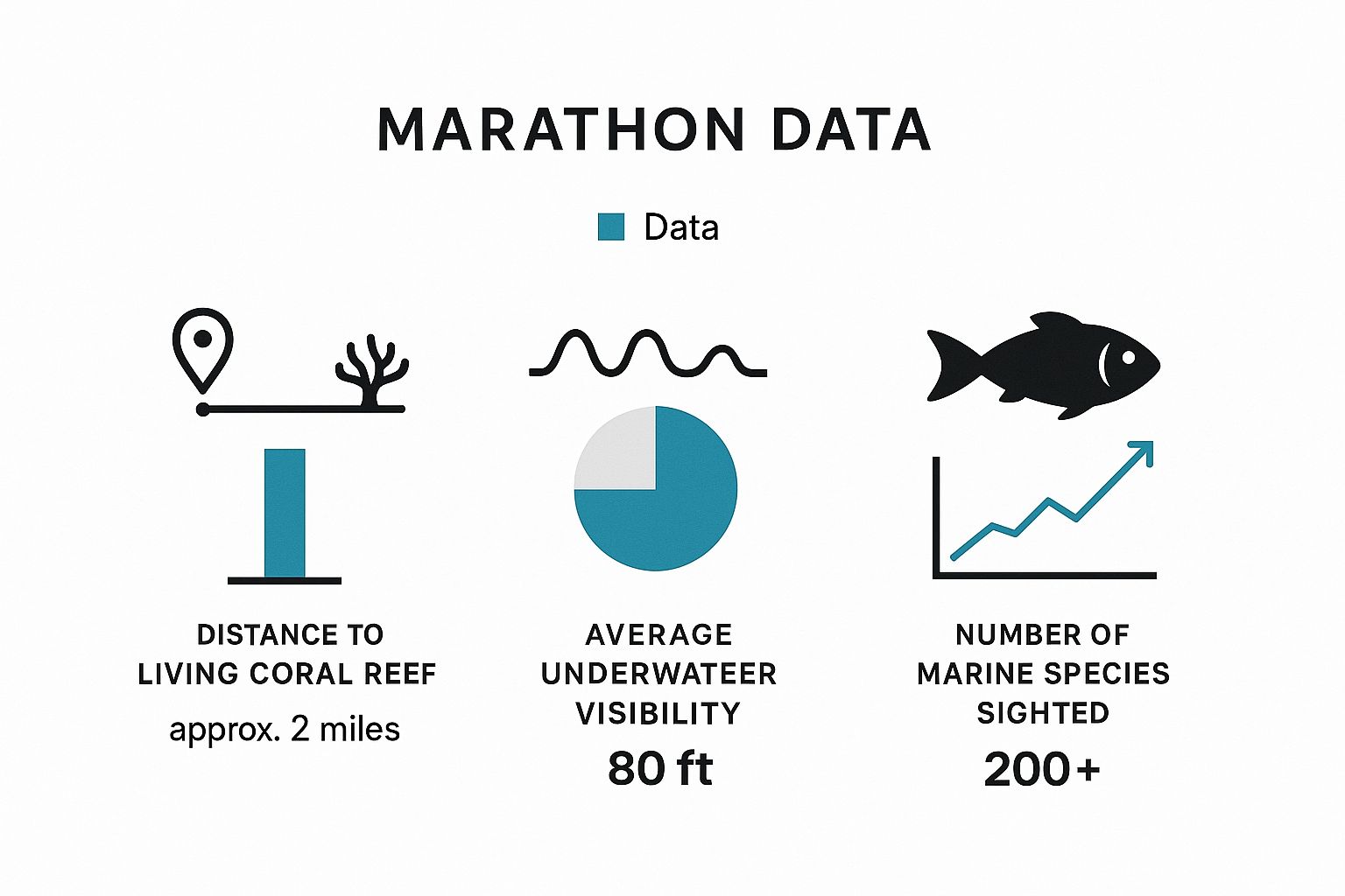 Infographic showing key data points for snorkeling in Marathon FL: ~2 miles to the reef, 80 ft visibility, and 200+ marine species.
