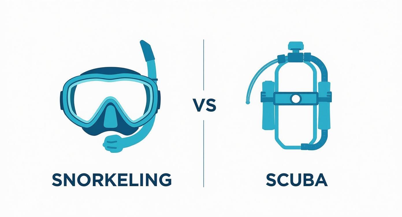Illustration comparing snorkeling gear, including a mask and snorkel, versus scuba diving equipment with a tank and regulator.