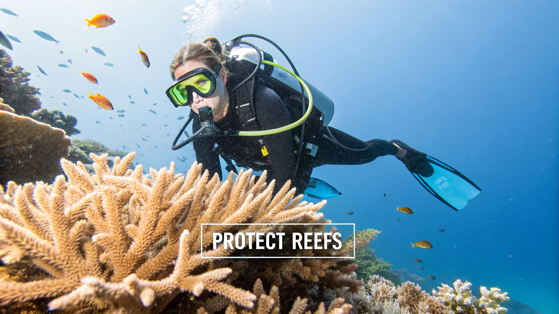 A diver in a black wetsuit with a green mask explores a vibrant coral reef teeming with fish.