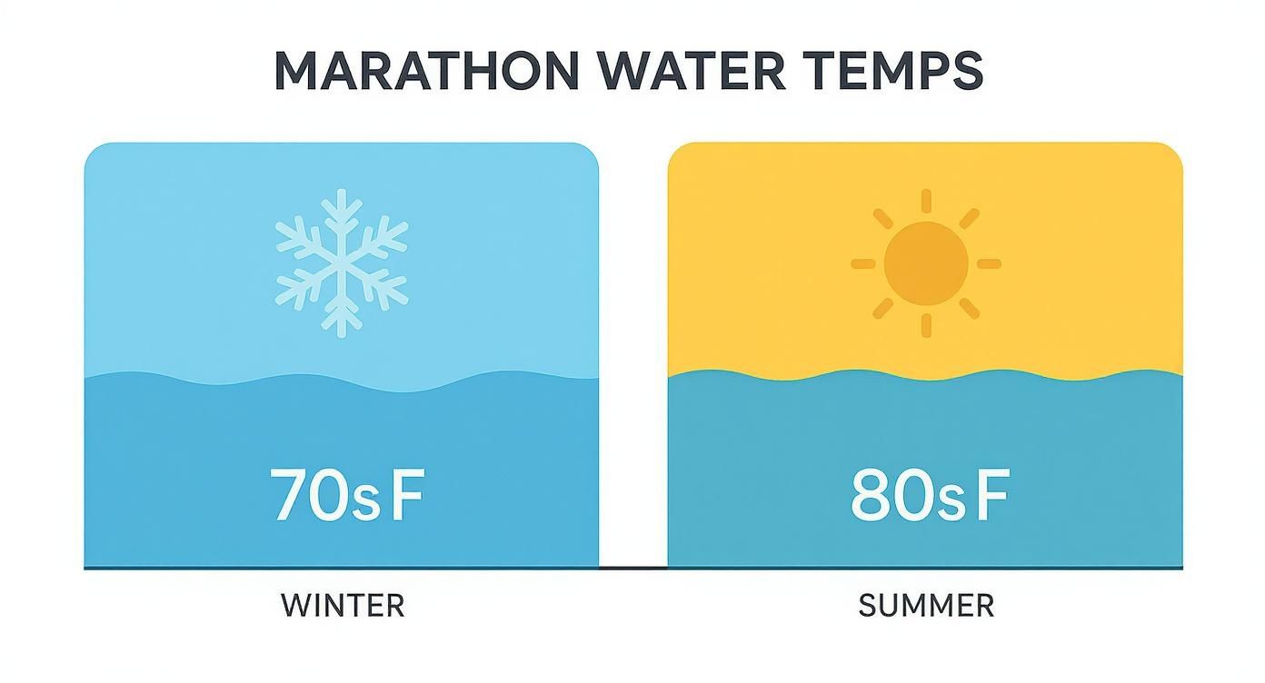 Infographic comparing Marathon water temperatures: 70s F in winter vs. 80s F in summer.