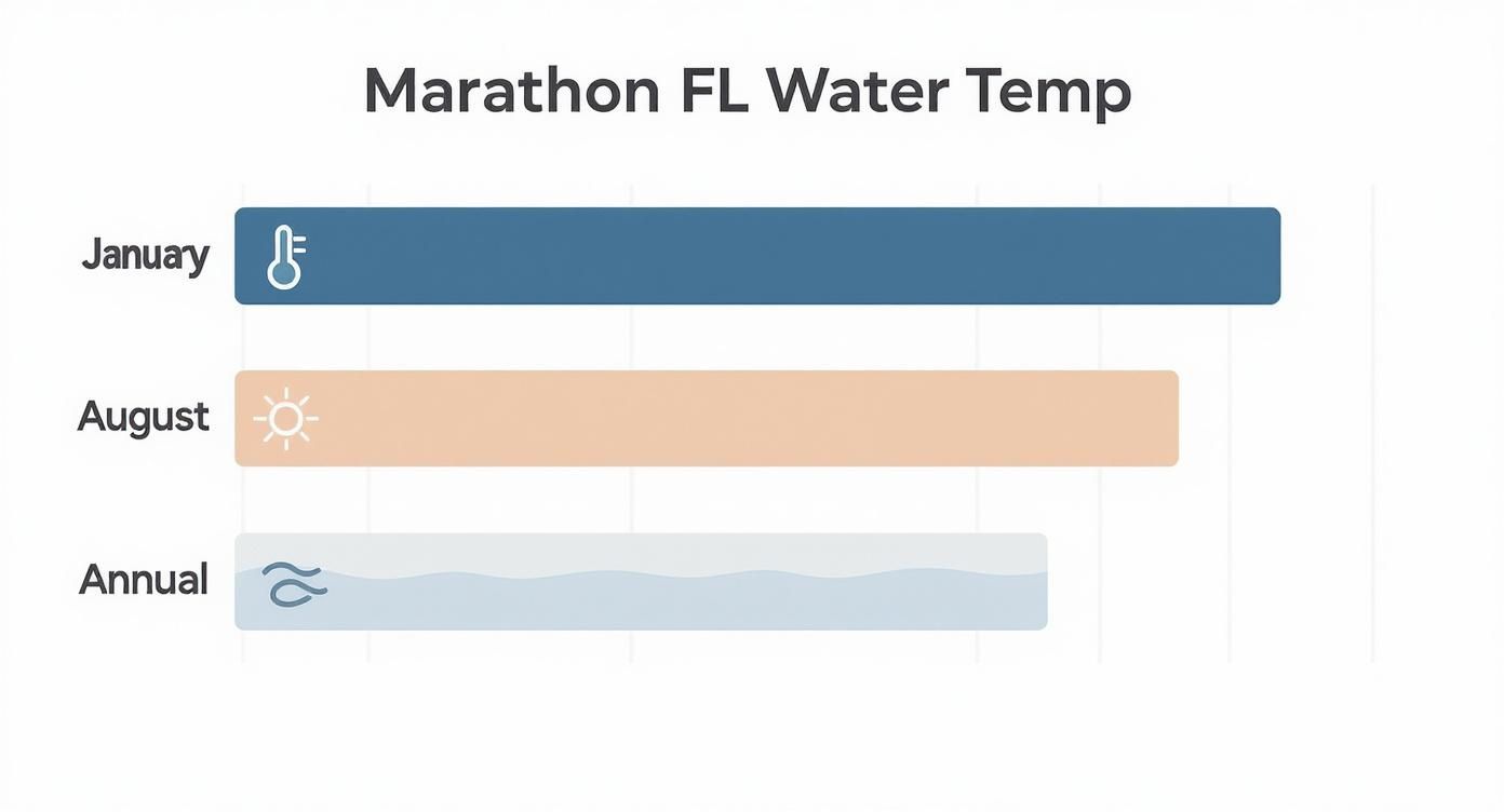 Infographic about water temperature marathon florida