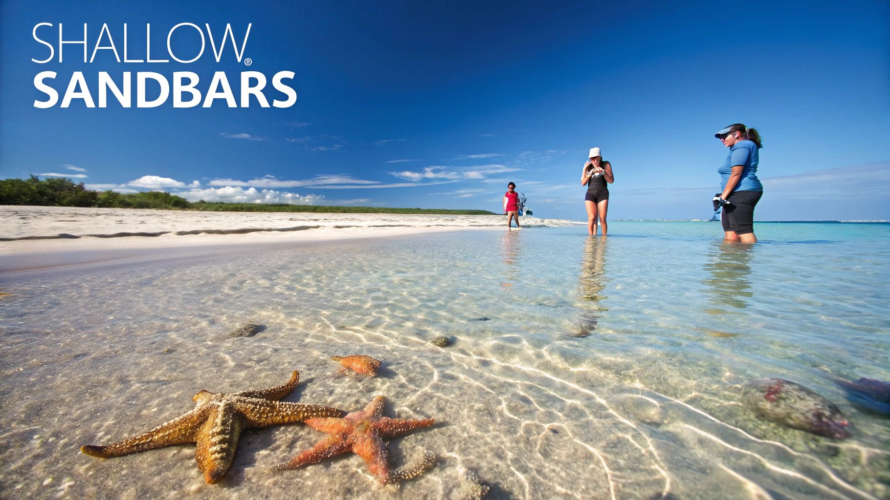 A shallow, clear sandbar with turquoise water in Marathon, FL.