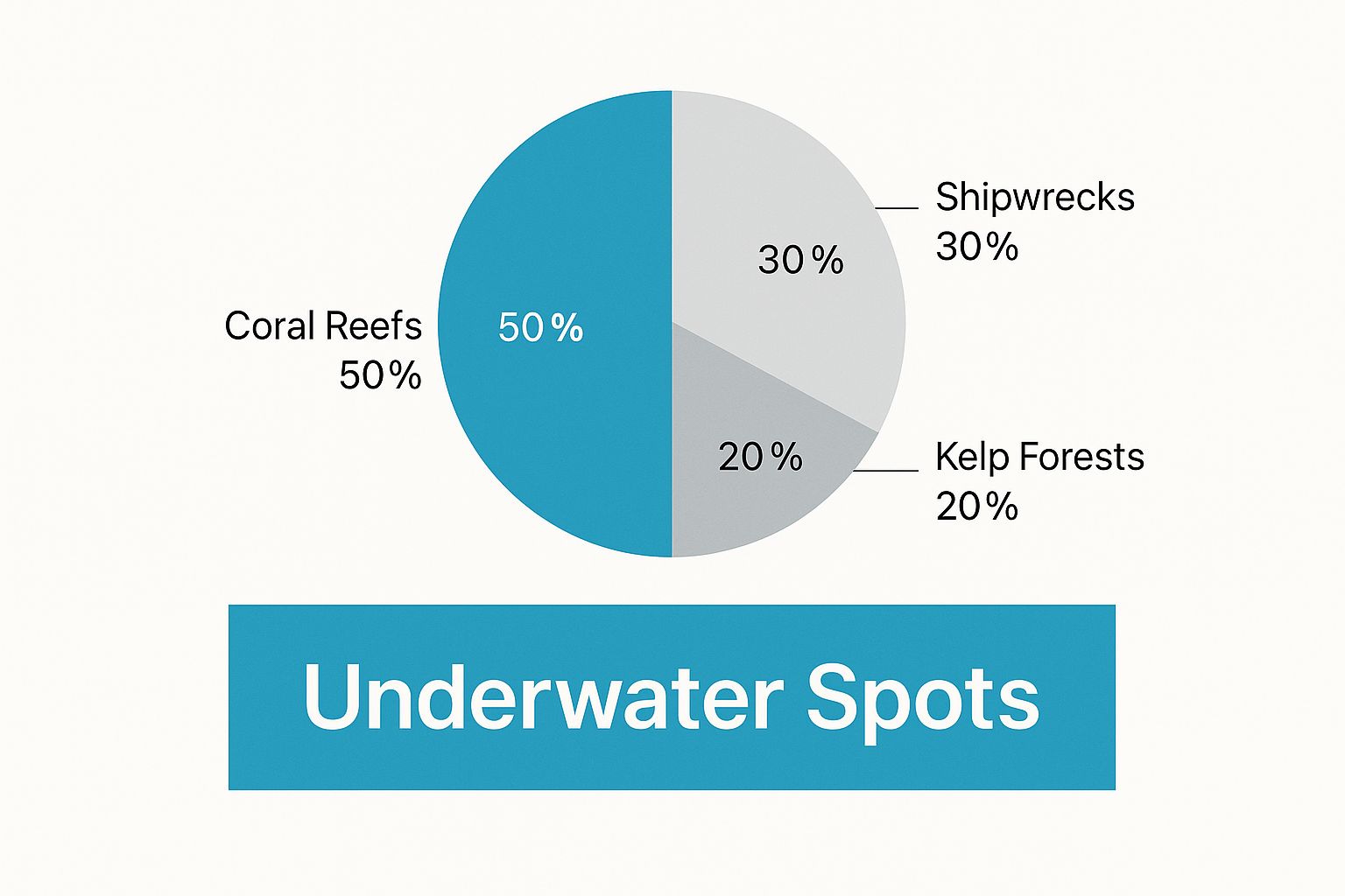 Infographic about snorkeling marathon fl