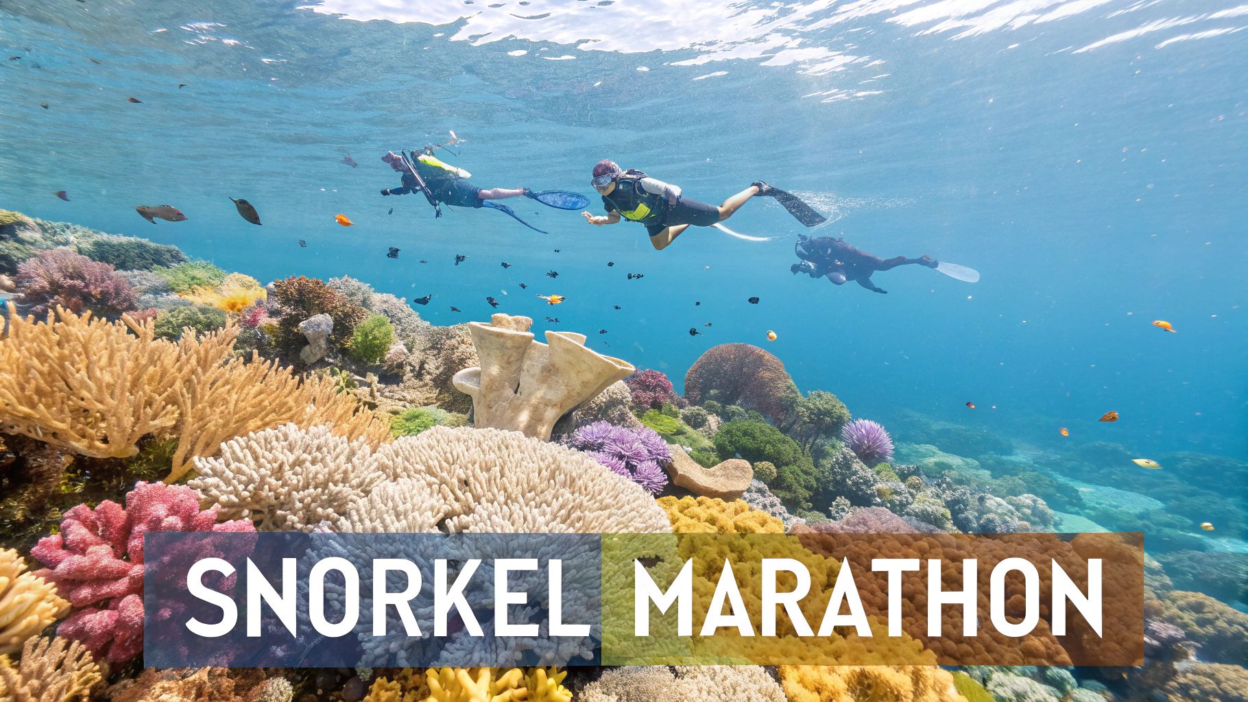 Your Guide to Snorkeling Marathon - F9d7e8bf 1f74 476e 85bc A62ea660ef17