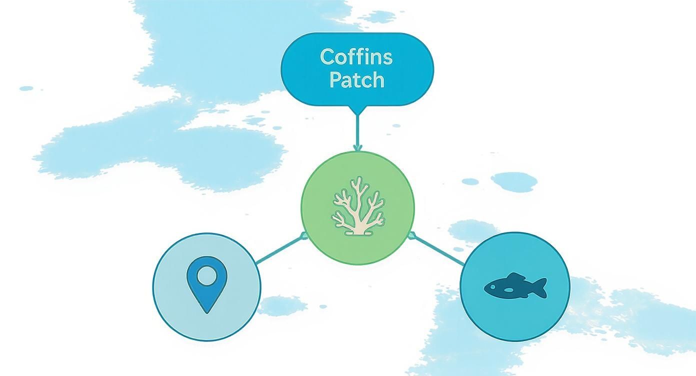 Diagram showing Coffin's Patch, a coral reef, connected to a location marker and fish.