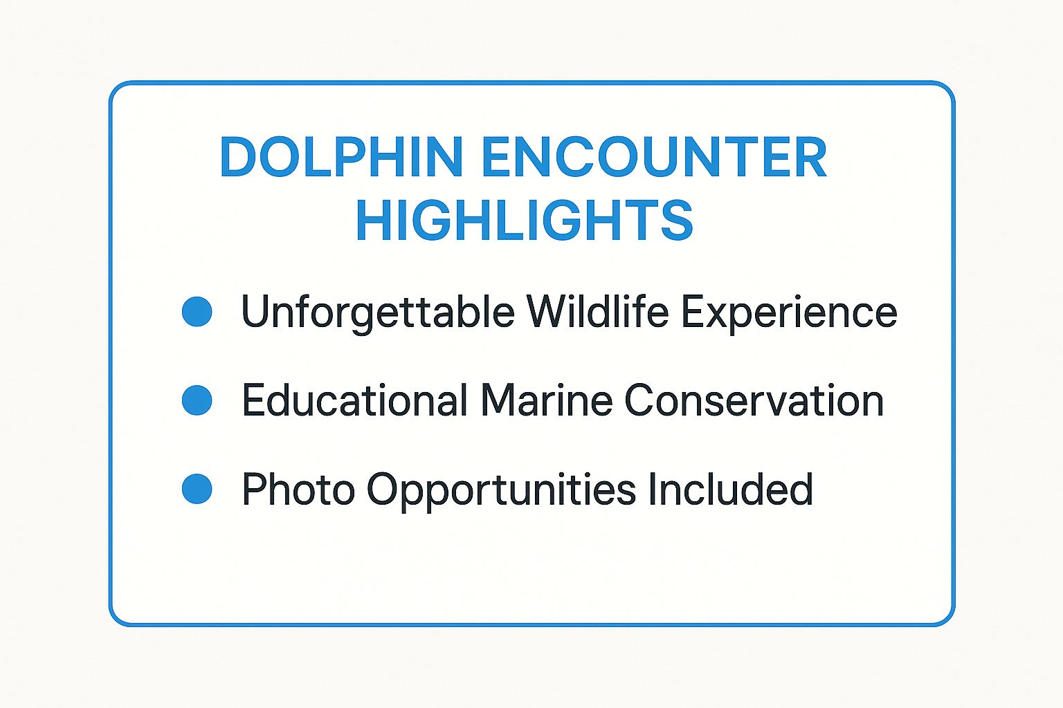 Infographic showing key data about Dolphin Encounter at Theater of the Sea