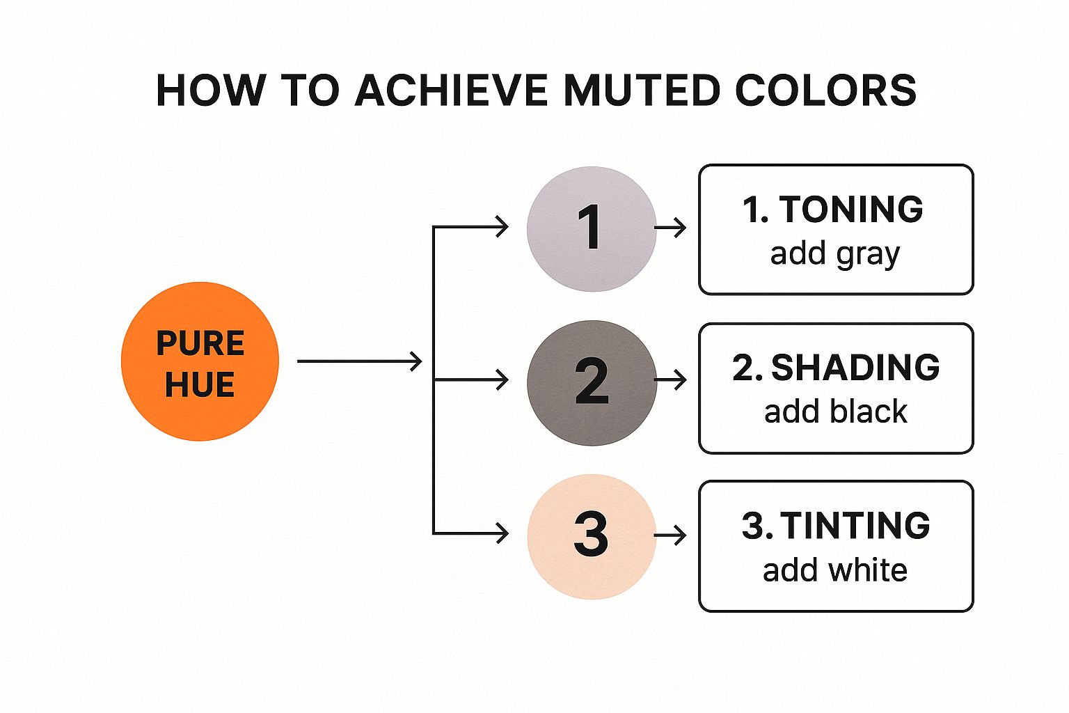 Infographic about what are muted colors
