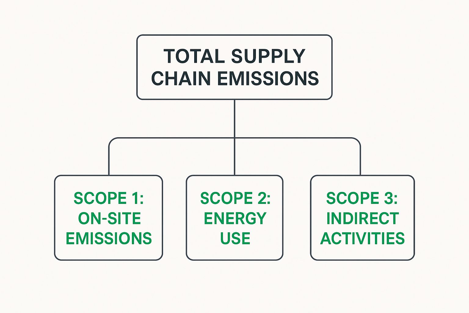 Infographic about supply chain carbon emissions