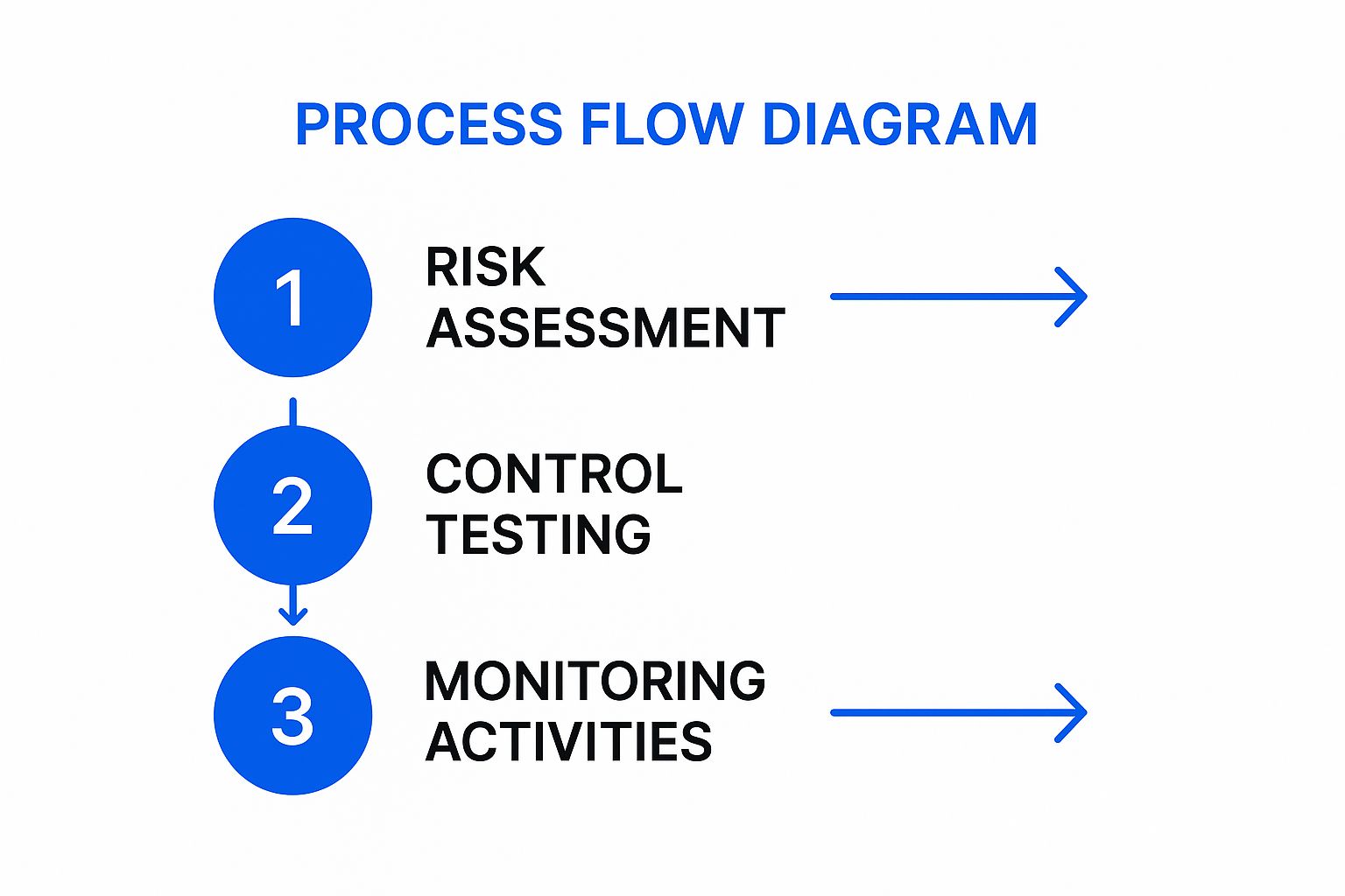 Infographic showing a three-step process for evaluating internal controls: Risk Assessment, Control Testing, and Monitoring Activities.