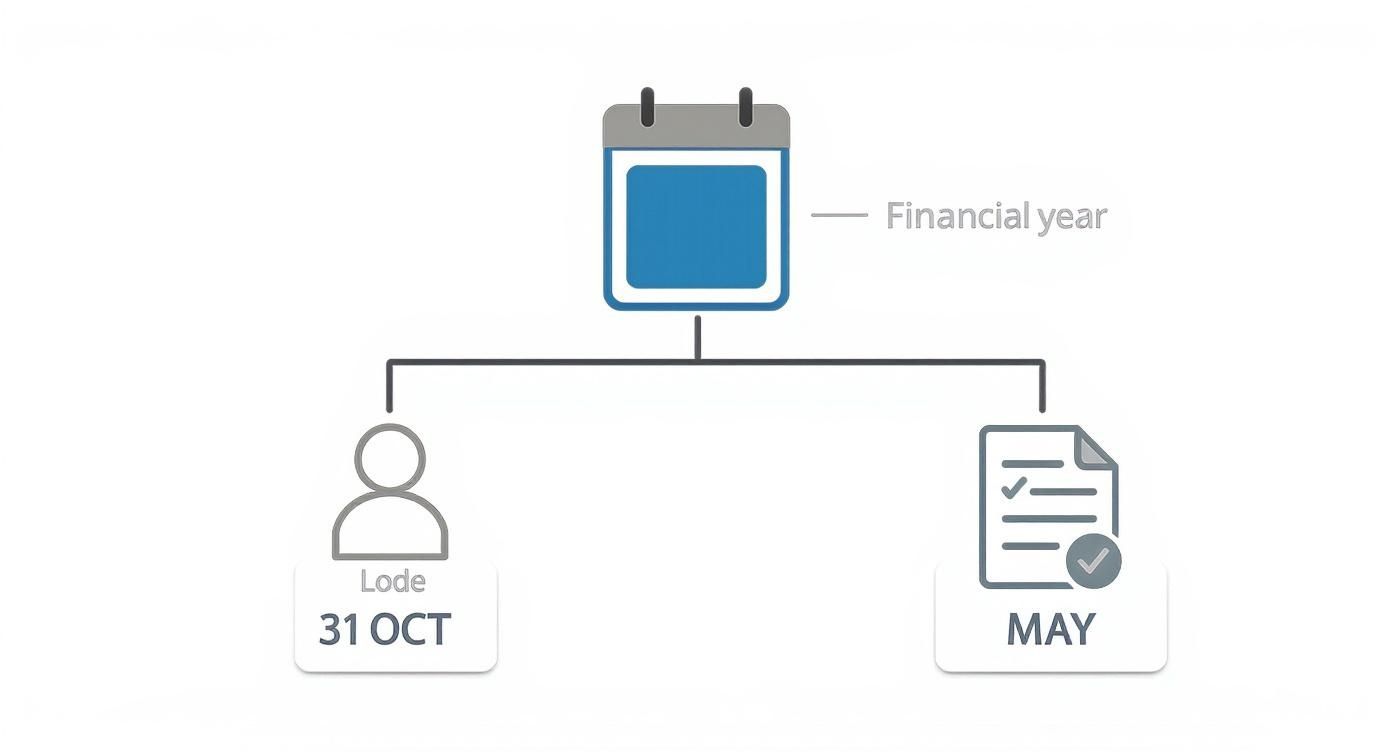 A flowchart illustrates a financial year with two key deadlines: Lode on 31 October and document submission in May.