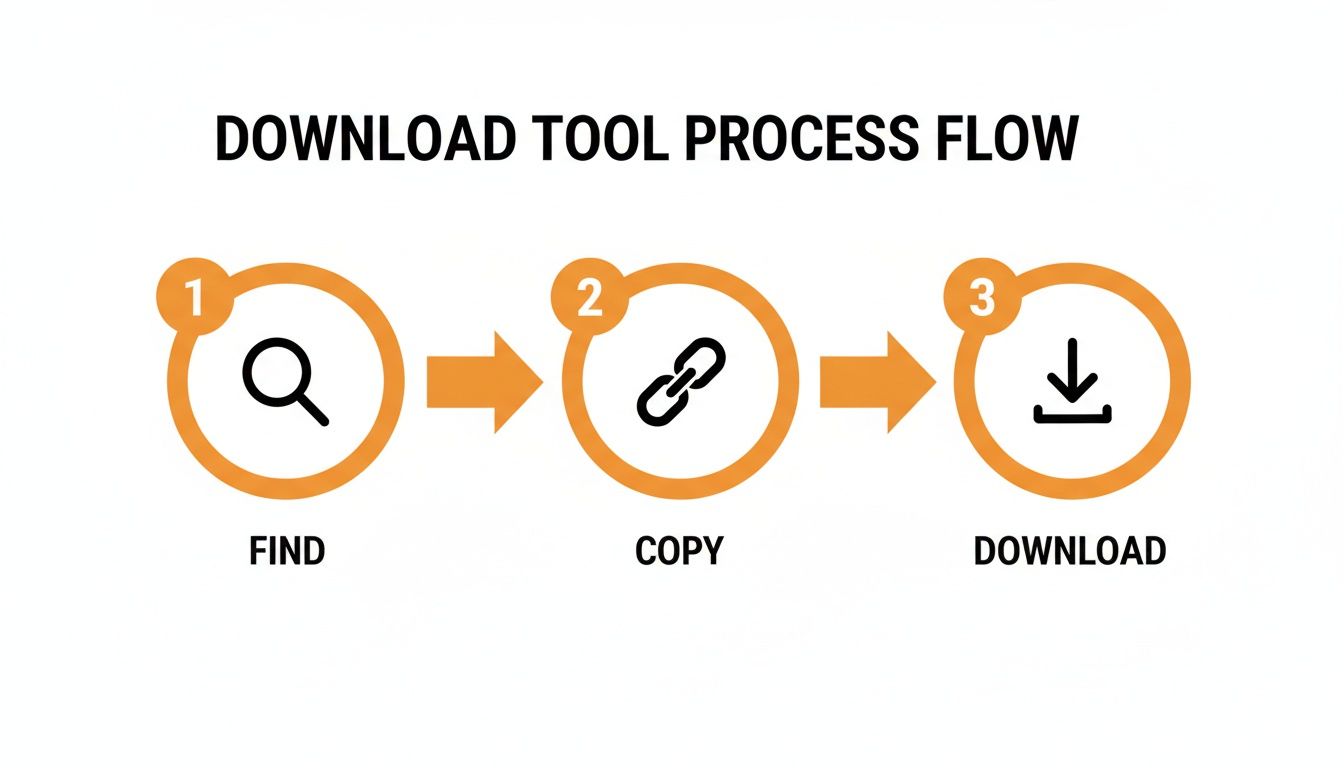 Download tool process flow with three sequential steps: Find, Copy, and Download.