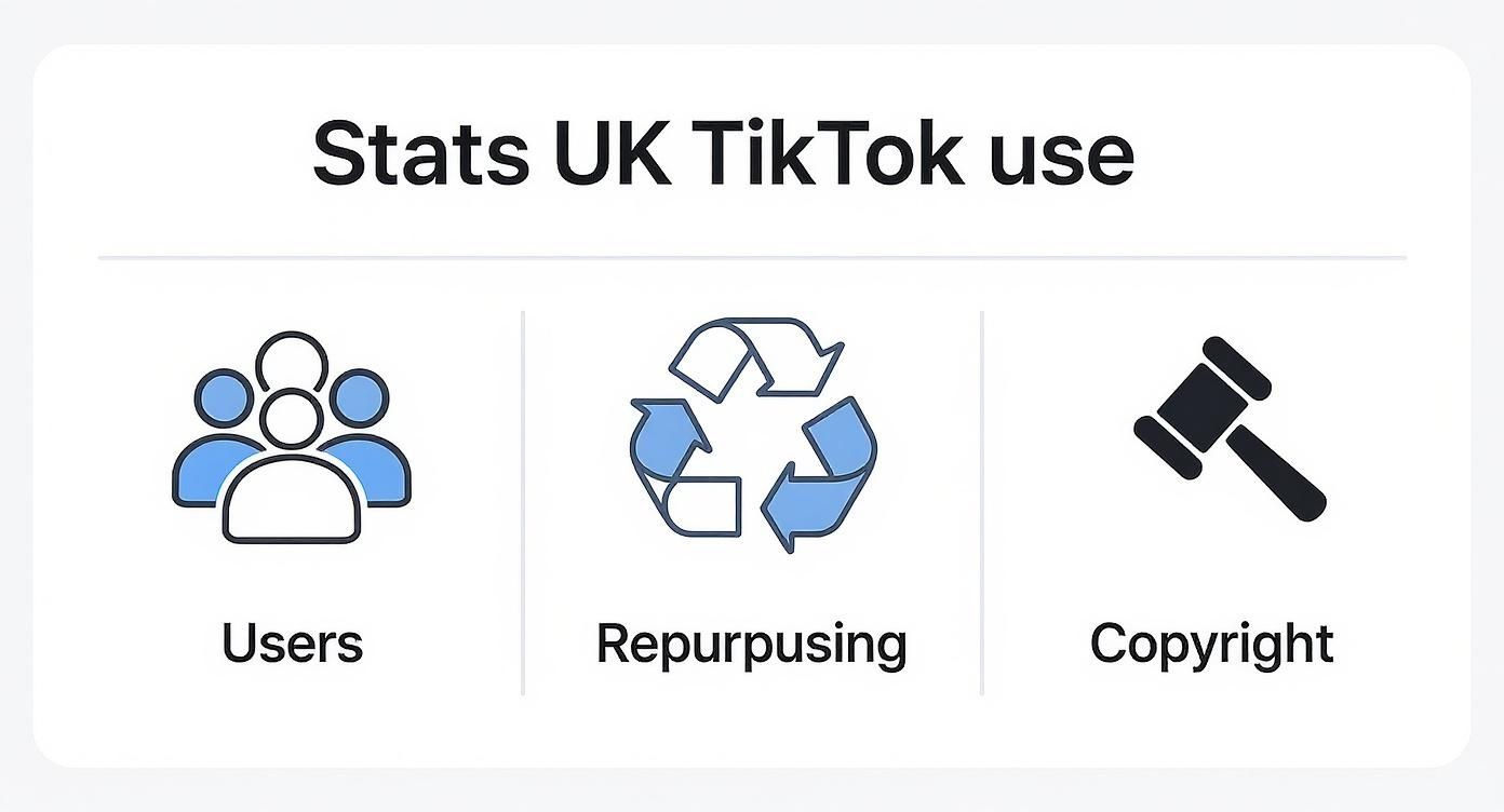 Stats on UK TikTok use, showing icons for users, repurposing, and copyright implications.