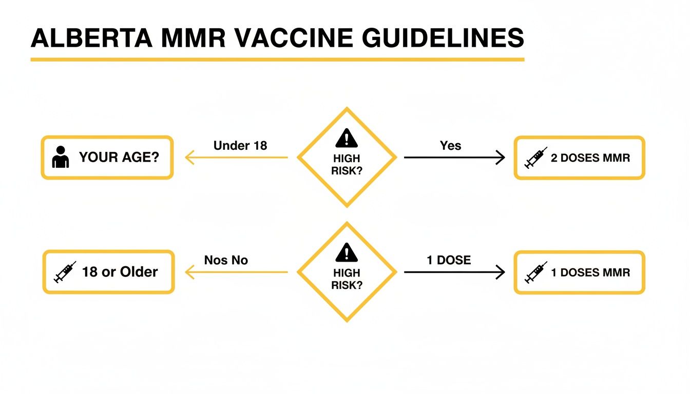 Infographic about mmr vaccine alberta