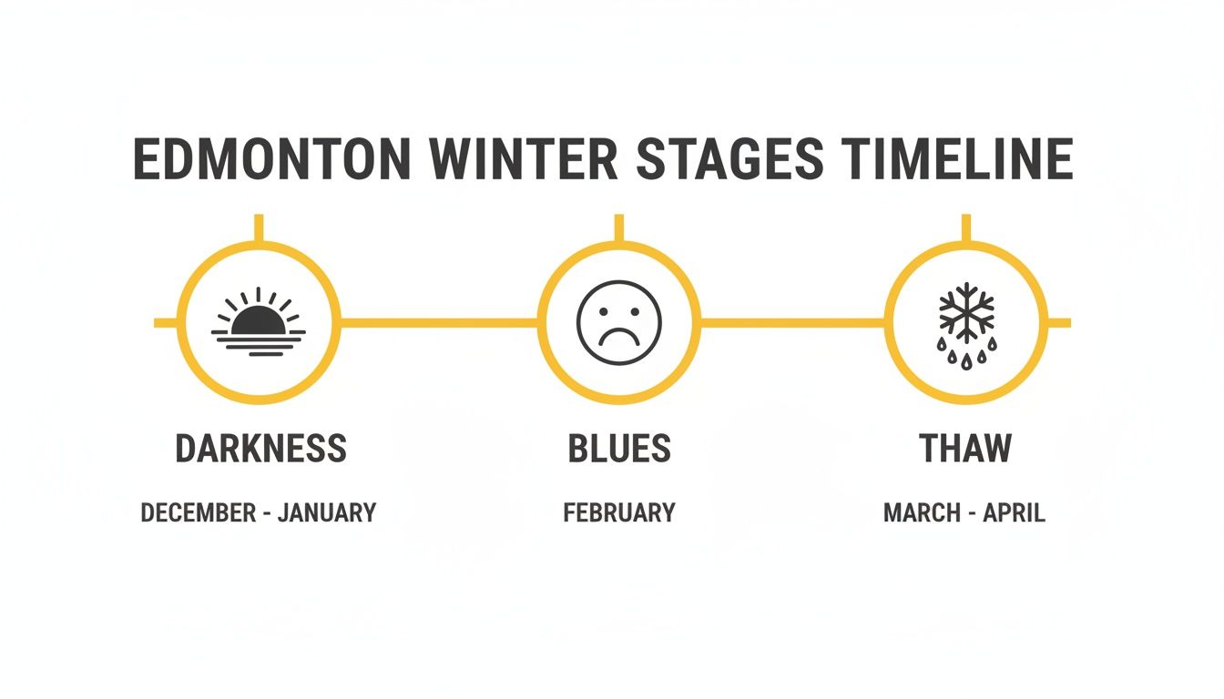 A timeline depicting Edmonton's three winter stages: Darkness (Dec-Jan), Blues (Feb), and Thaw (Mar-Apr) with icons.