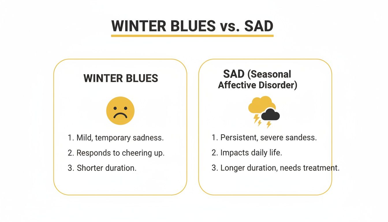 A comparison chart detailing differences between Winter Blues and Seasonal Affective Disorder (SAD).