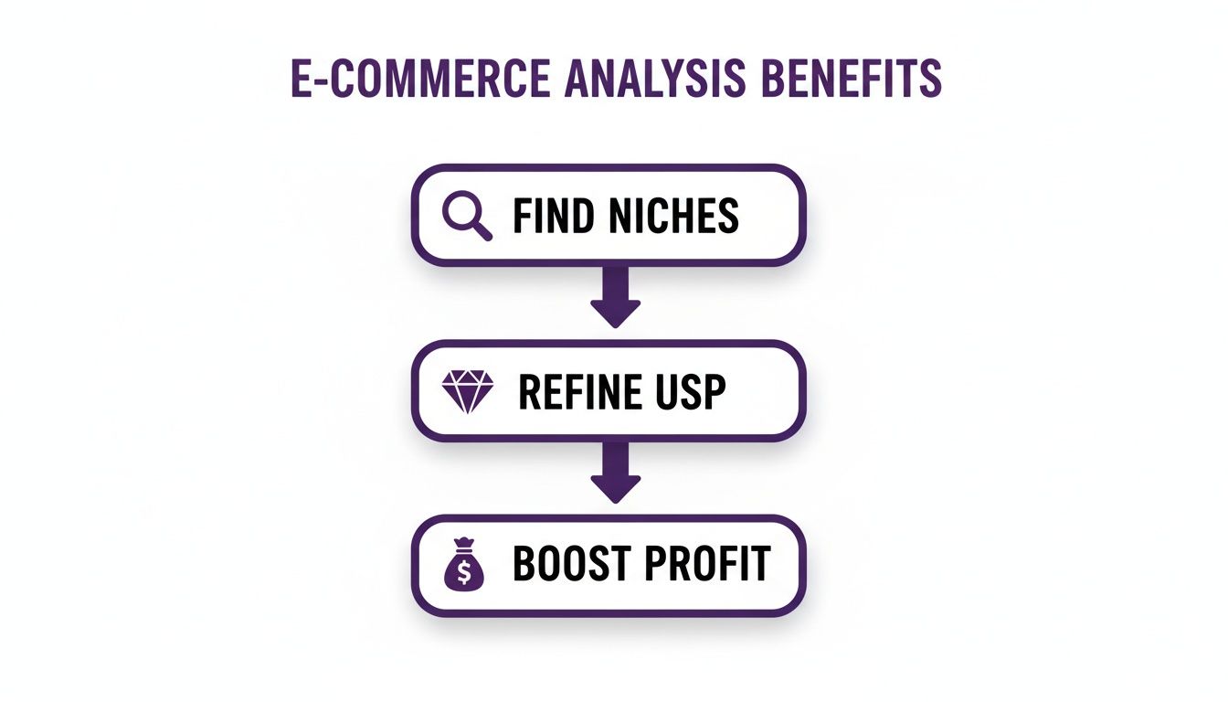 Flowchart showing e-commerce analysis benefits: find niches, refine USP, and boost profit.